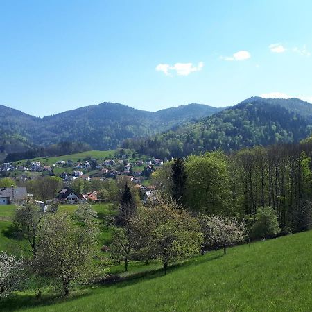 Ferienwohnung Schwarzwaldblick Buhlertal Bagian luar foto