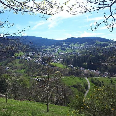 Ferienwohnung Schwarzwaldblick Buhlertal Bagian luar foto