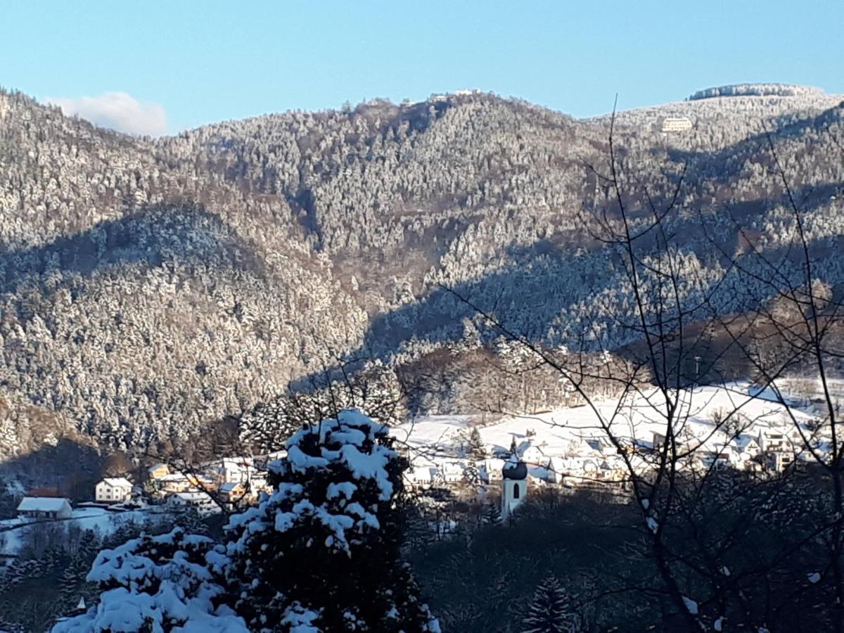 Ferienwohnung Schwarzwaldblick Buhlertal Bagian luar foto