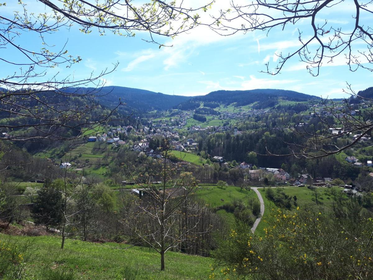 Ferienwohnung Schwarzwaldblick Buhlertal Bagian luar foto